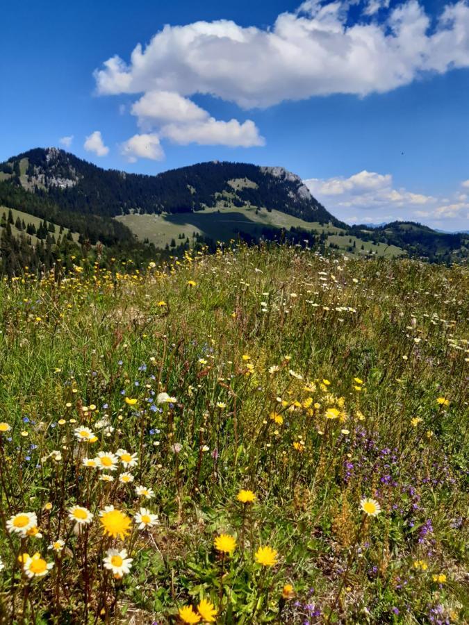 Fewo Niederndorferberg Buitenkant foto