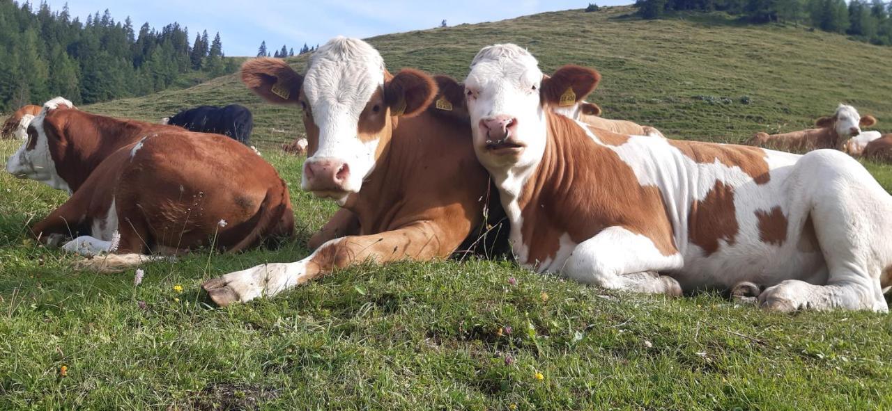 Fewo Niederndorferberg Buitenkant foto