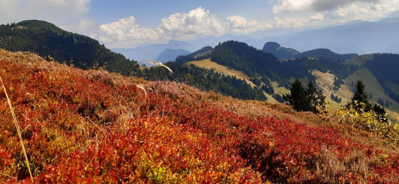 Fewo Niederndorferberg Buitenkant foto
